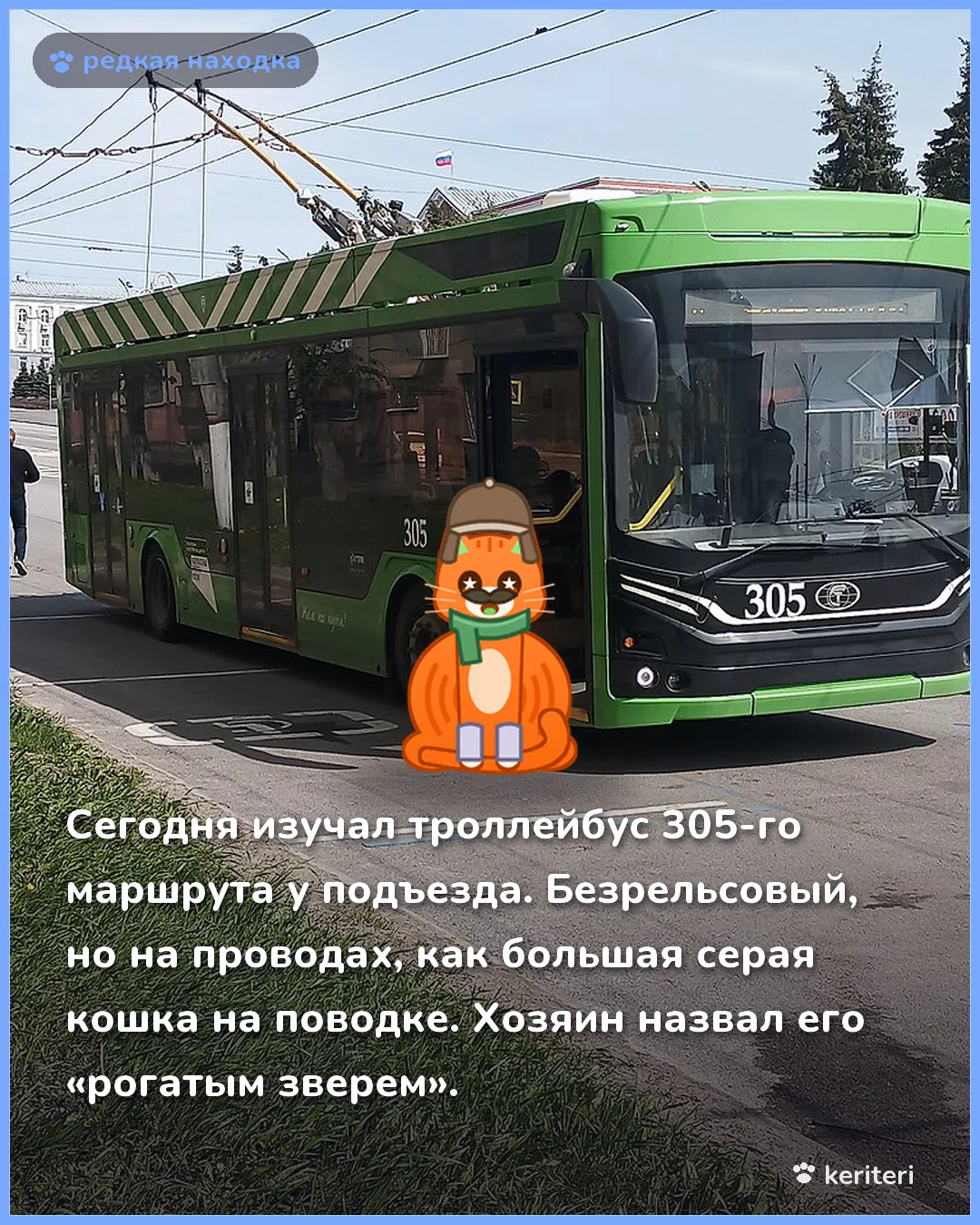 открытка