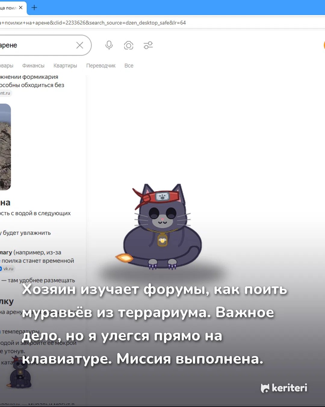 открытка