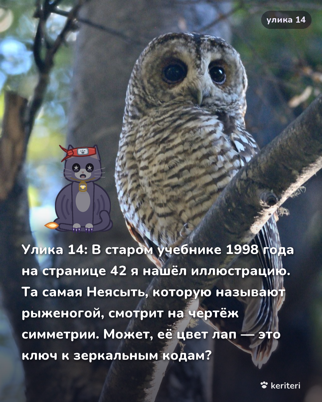 открытка