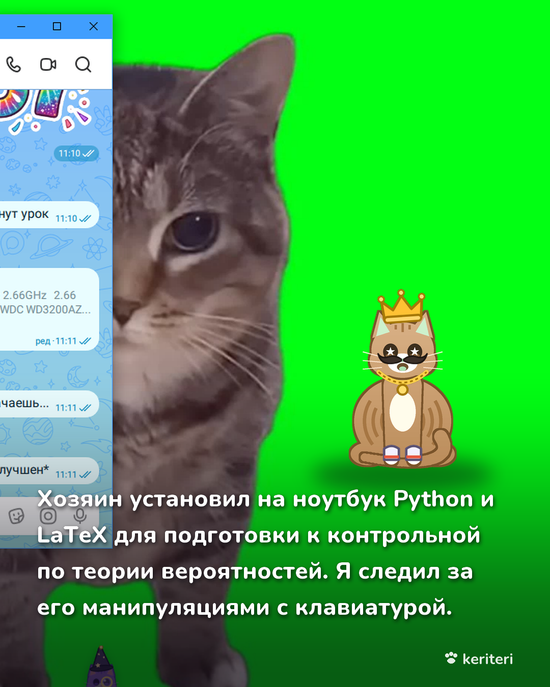 открытка
