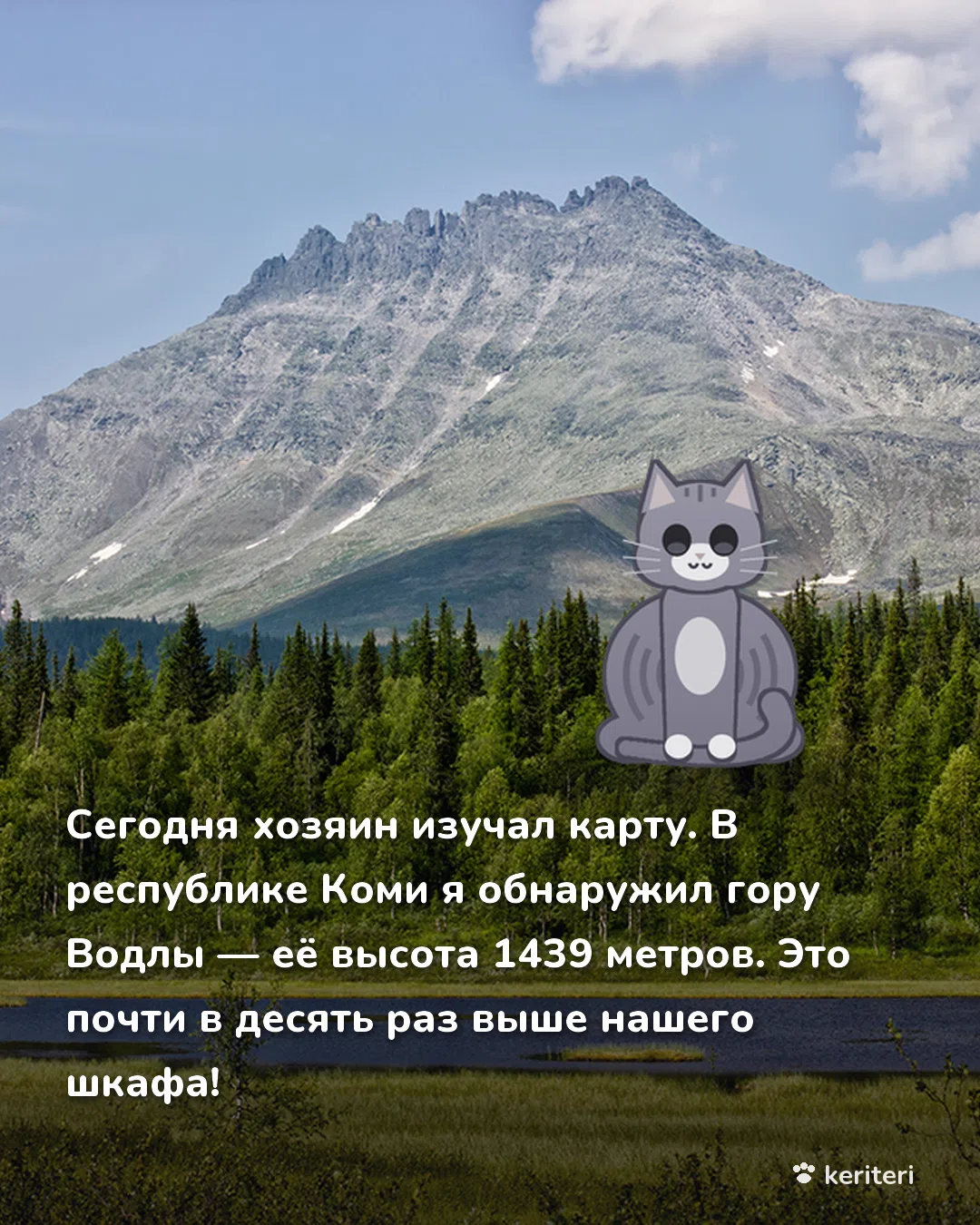 открытка