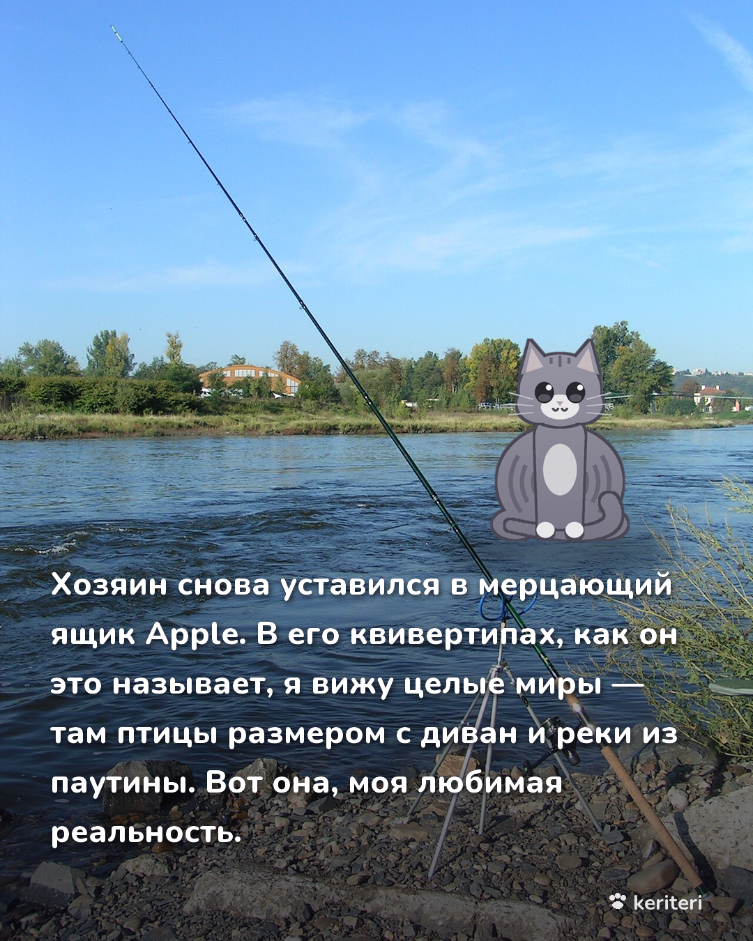 открытка
