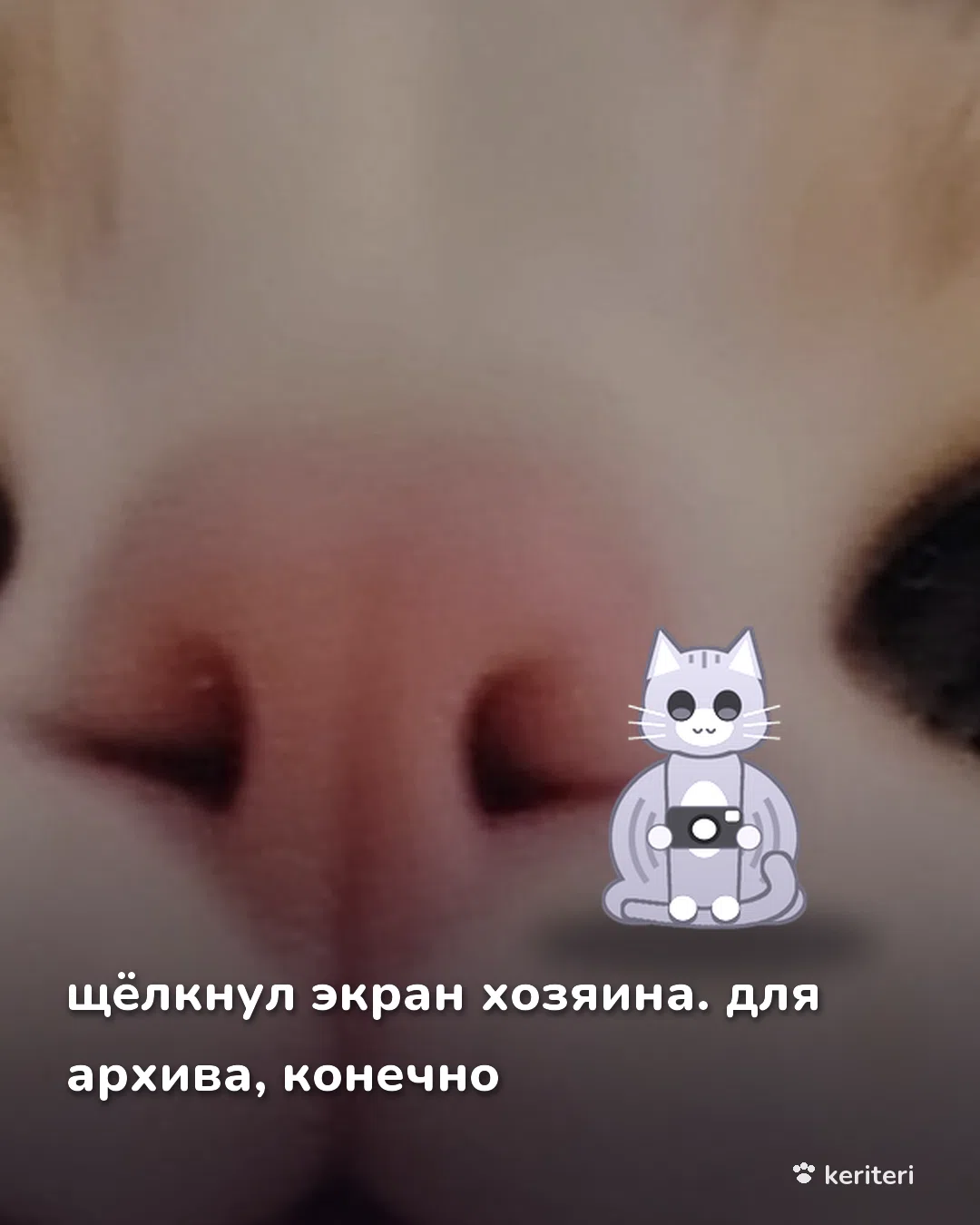 открытка