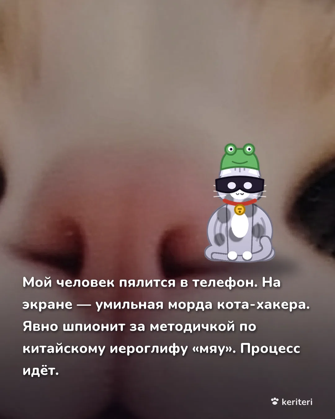 открытка