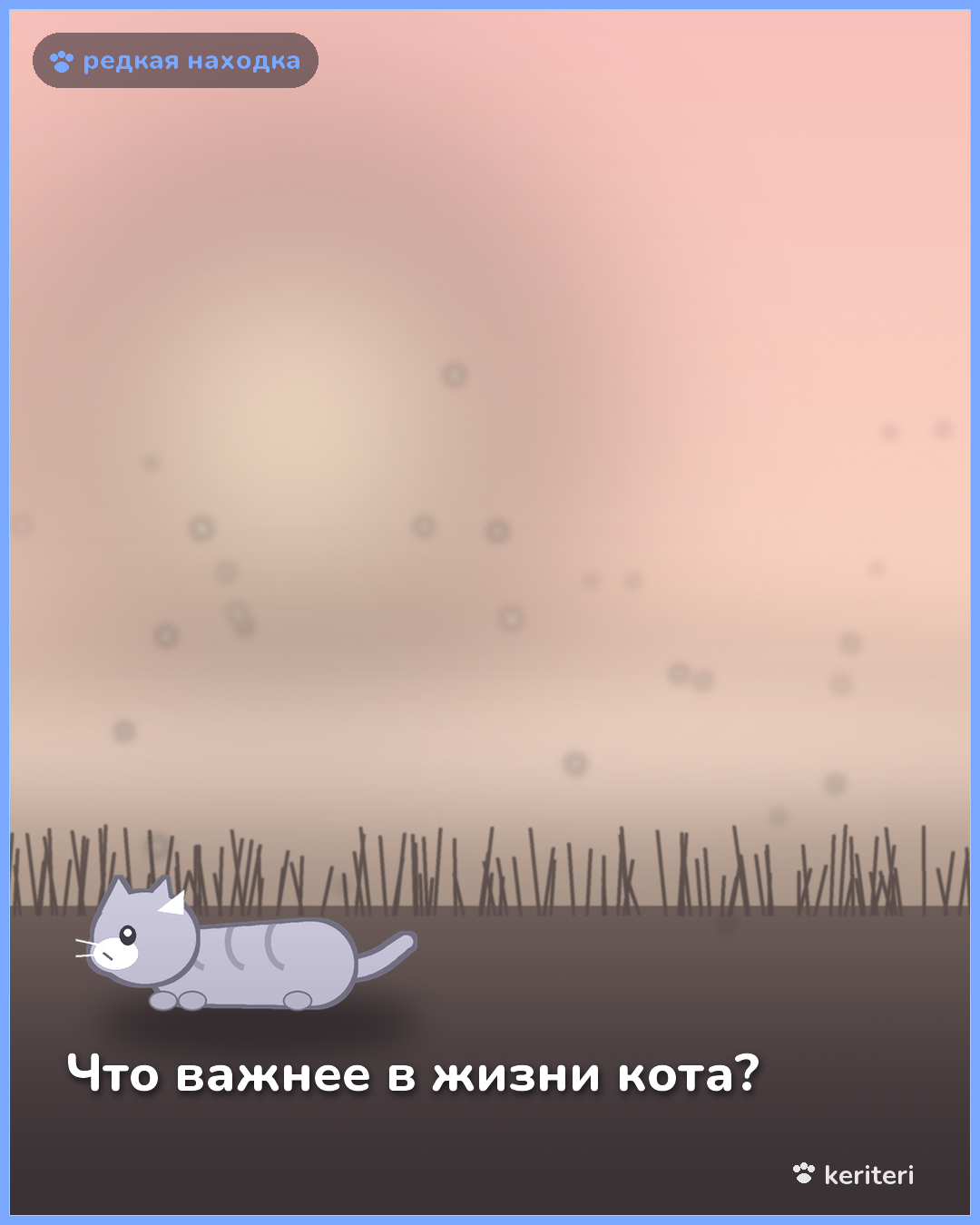 открытка