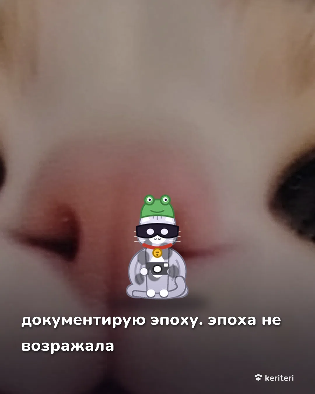 открытка
