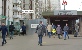  минифото 6