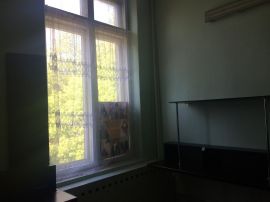  минифото 5