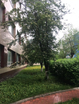 Аренда ПСН 1381 м2 на ул Семеновский переулок д6 минифото 5