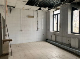 Аренда Особняка метро Выставочная минифото 10