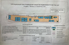  минифото 16