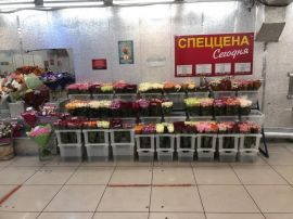  минифото 6