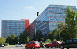  минифото 8