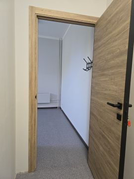  минифото 3