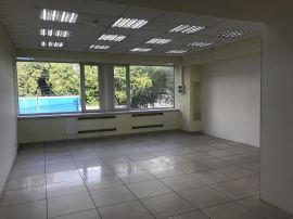 Аренда ПСН 41 м  на улице Вельяминовская минифото 3
