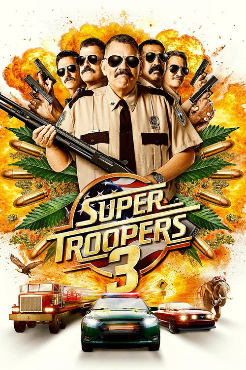 Суперполицейские 3
