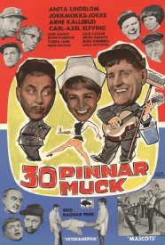 30 pinnar muck