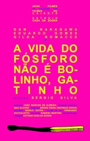 A Vida do Fósforo Não É Bolinho, Gatinho