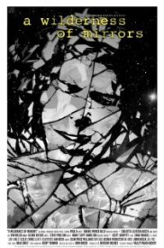 A Wilderness of Mirrors