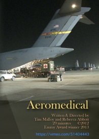 Aeromedical