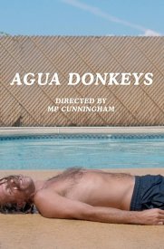 Agua Donkeys