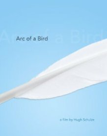 Arc of a Bird