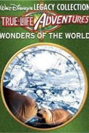 Белая пустошь