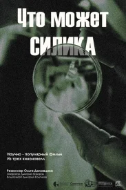 Что может силика