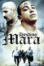 Destino Mara