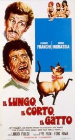 Длинный, короткий, кот