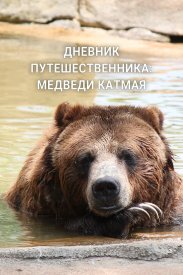 Дневник путешественника: Медведи Катмая