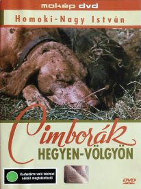 Дорога с приключениями