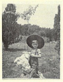 Fly Like a Bumblebee