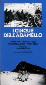 I cinque dell'Adamello