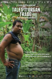 Истории про торговлю органами