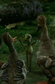 История любви одной лягушки