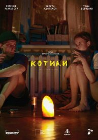 Котики