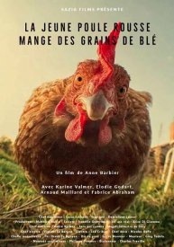 La Jeune Poule Rousse Mange des Grains de Blé