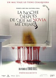 La noche después de que mi novia me dejara