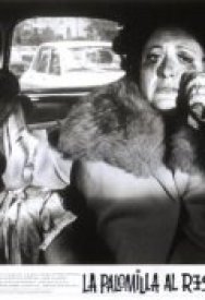 La palomilla al rescate