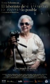 Лабиринт возможного