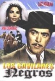 Los gavilanes negros