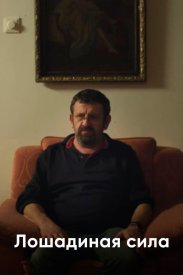 Лошадиная сила