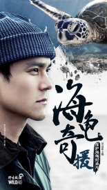 Между морем и берегом