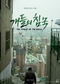 Молчание собак