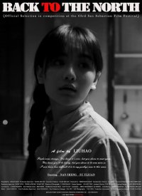 Назад на север