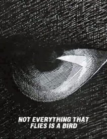 Не всё то птица, что летает