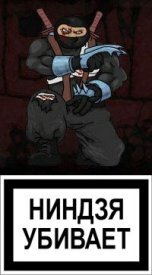 Ниндзя в деле