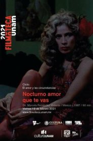 Ночная любовь, за которой ты идёшь