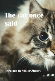 О чем молчал кот